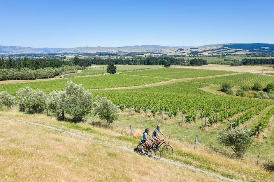 Cyclying through winery 