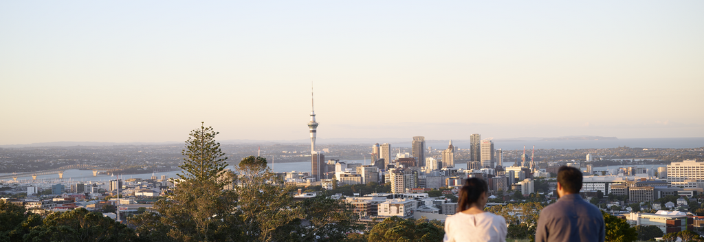 Mt Eden Summit City View