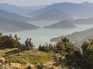 Der Queen Charlotte Track liegt inmitten der idyllischen Marlborough Sounds. Der Track ist für Wanderer und Mountainbiker geöffnet.