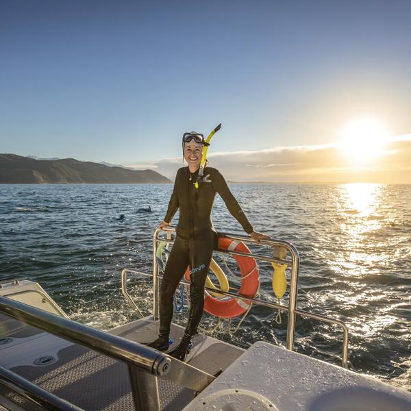 Swim with the dolphins at sunset