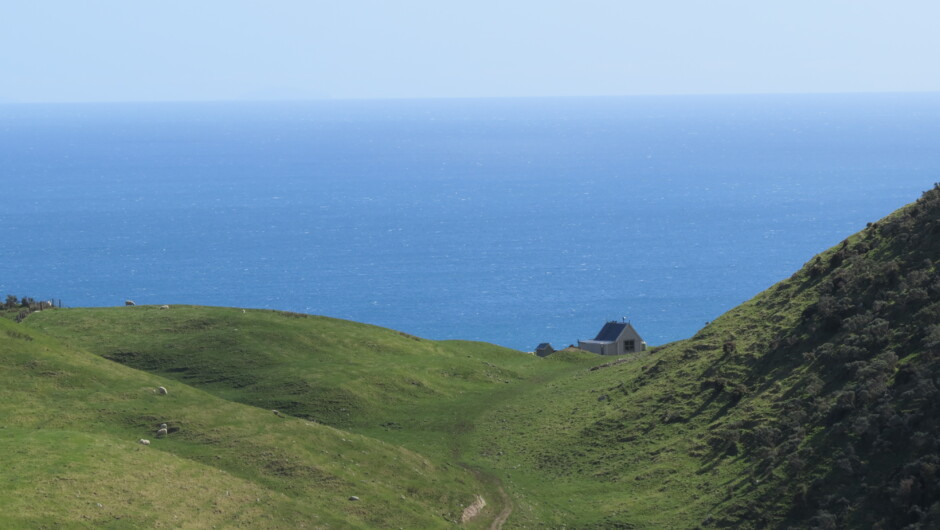 The shepherd's cabin in the distance overlooking the Cook Strait