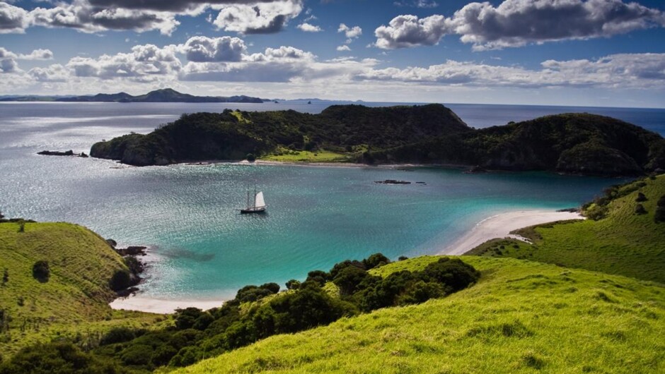Waewaetorea island, a popular place for a lunch time stop off