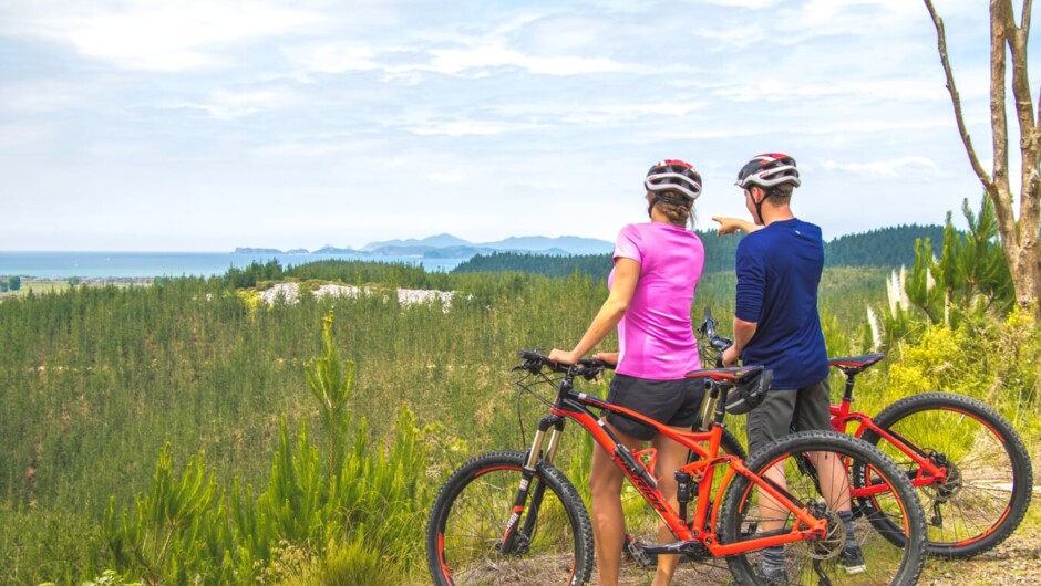 You will get to experience some incredible views as you explore the Waitangi Mountain Bike Park