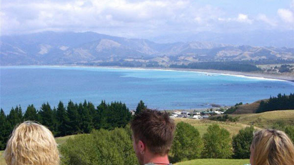 kaikoura-coast-new-zealand-international-tourism