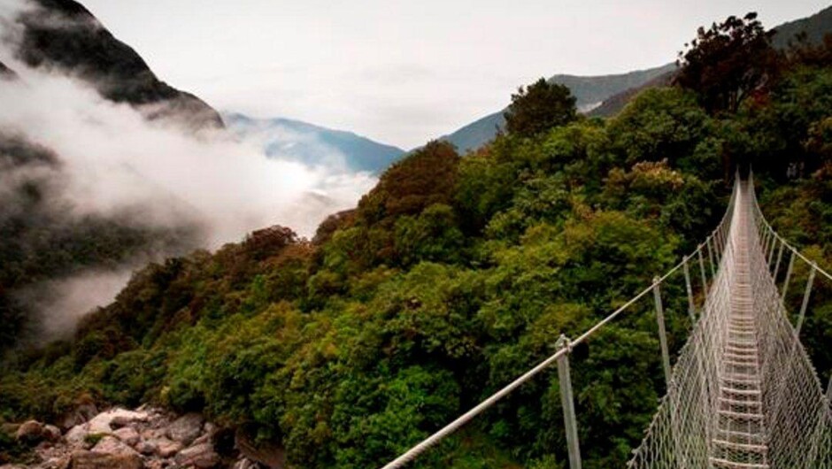 Swing bridge on the West Coast Wilderness Safari