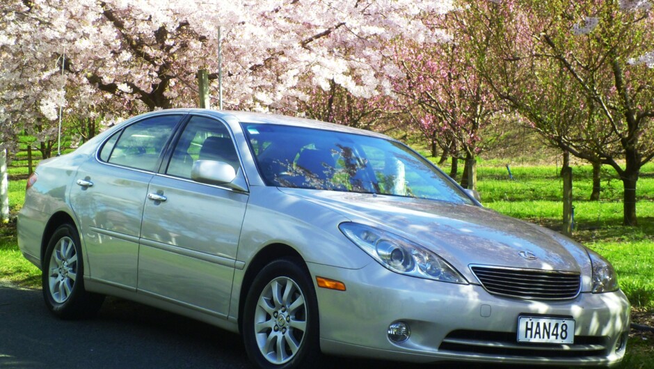 Lexus ES300s - 10 airbags, stability control, cruise control, Leather and much more