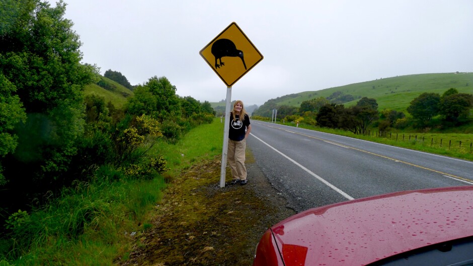 Kiwi Crossing, near Mount Bruce, North Island, New Zealand