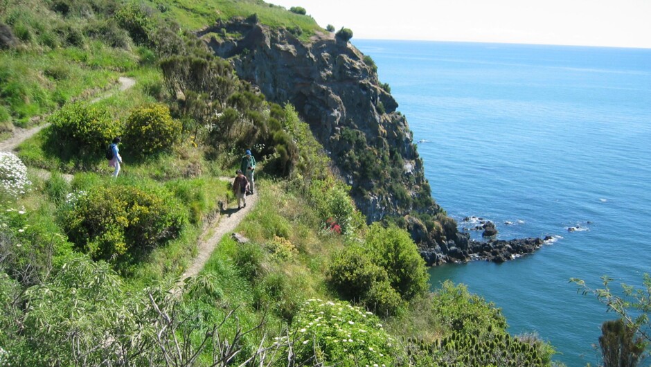 Christchurch Coastal Hiking Tour