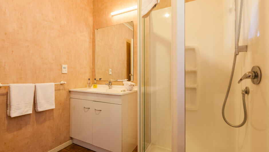 Motel Te Kuiti | One Bedroom - Bathroom