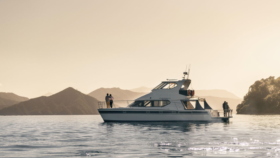 Seafood Odyssea Cruise, Marlborough Sounds