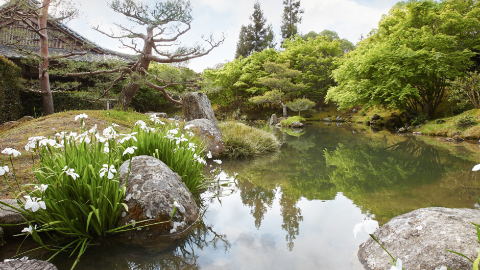 일본 명상의 정원