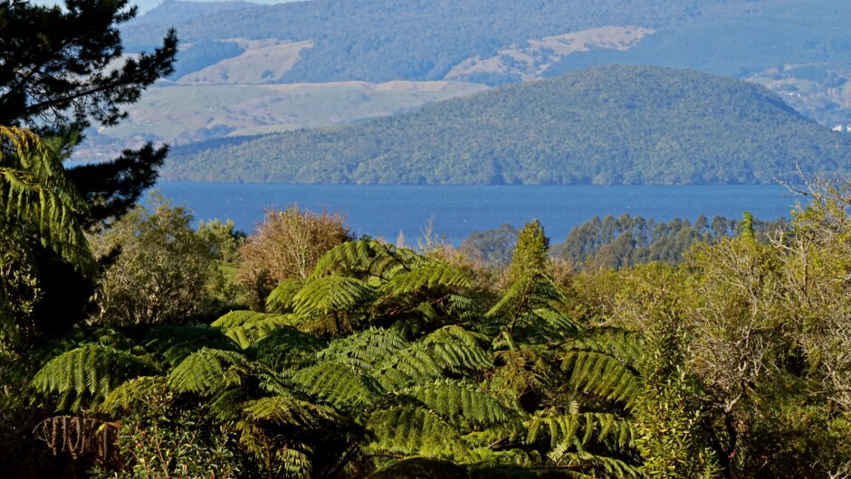 Mokoia Island from hole 6