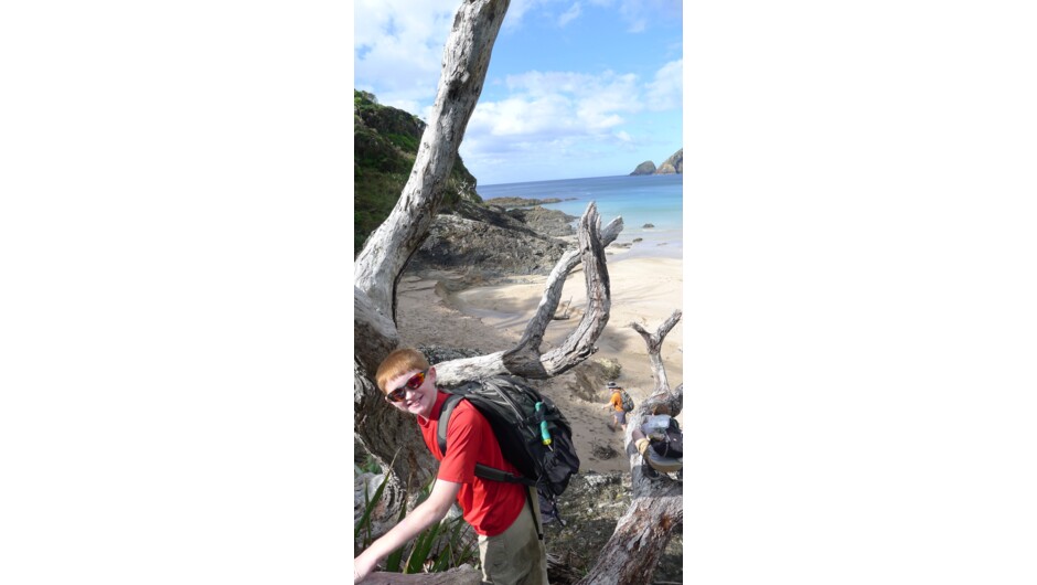 Hiking at Cape Brett Peninsula