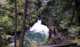 Rotorua Okere Falls