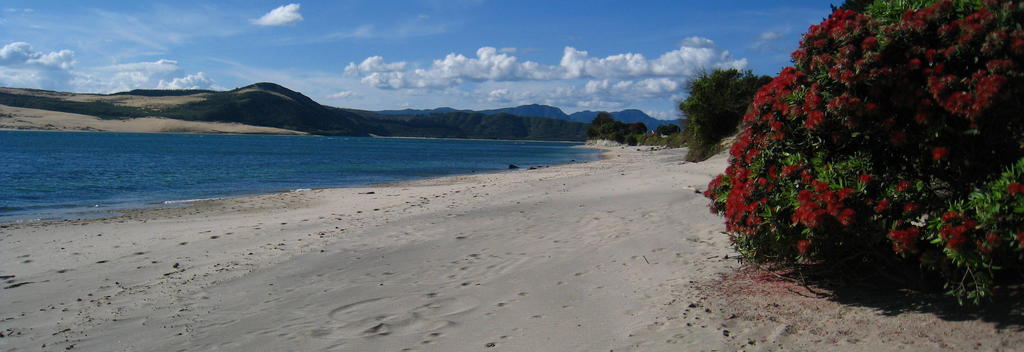 Omapere Beach north of the stairs