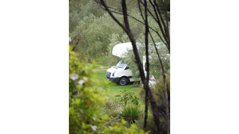 Park amongst the Mature Olive Grove