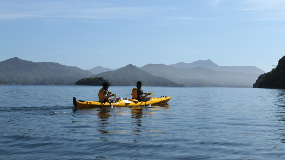 Kayaking on Picton Harbour