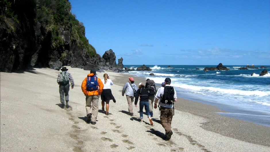 Off to see the Fiordland Crested Penguin