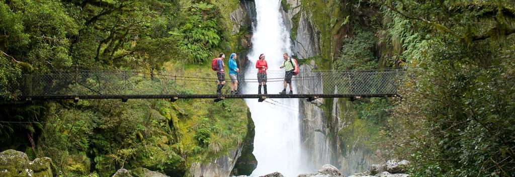 Giant Gate, Milford Track with Trips & Tramps guided walk