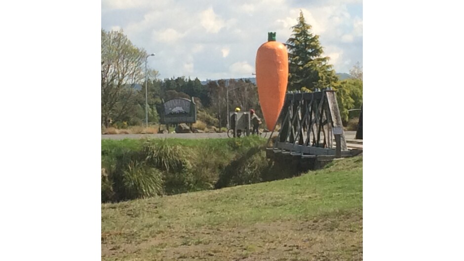 The famous Ohakune Carrot