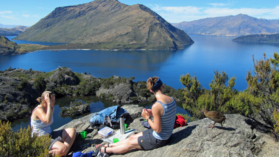 "High tea' with local characters and panoramic lake and mountain views, with Eco Wanaka Adventures.
