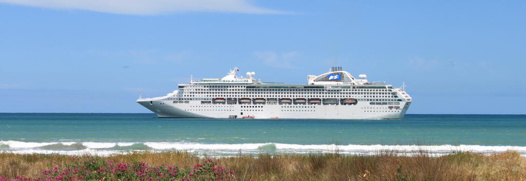 Tours for Cruise passengers in Gisborne