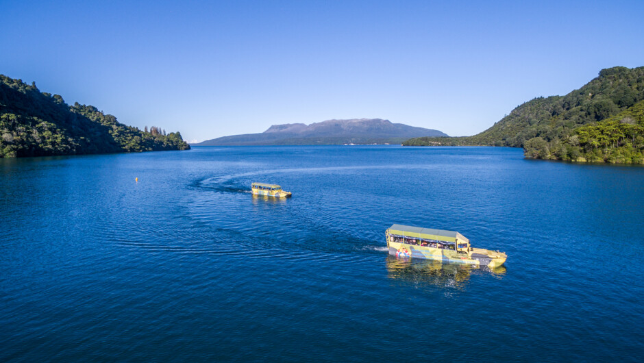 Explore Rotorua's beautiful lakes on a Duck Tour