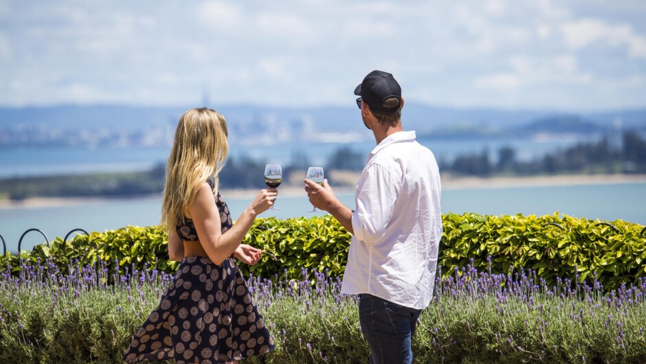 View from Mudbrick Vineyard