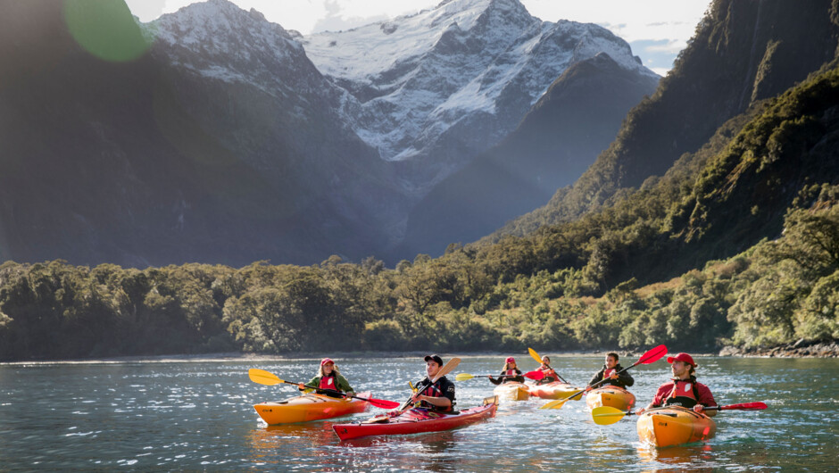 Milford Sound Bootstour & Kajak