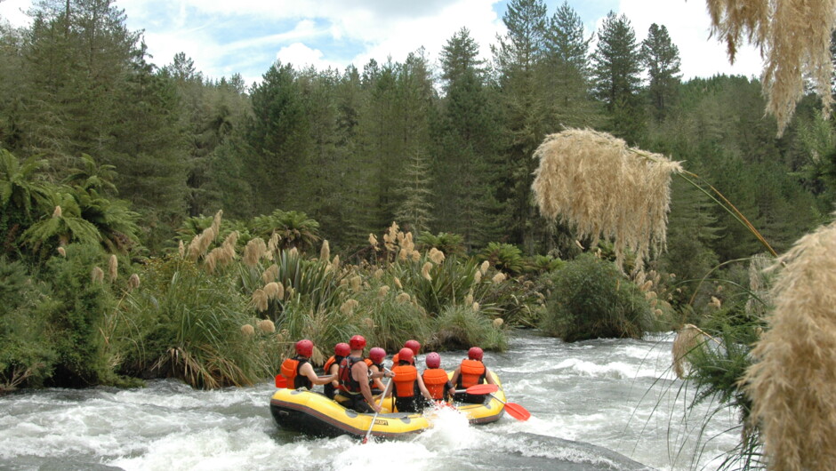 Rafting Rangitaiki River, Rotorua, New Zealand with Raftabout