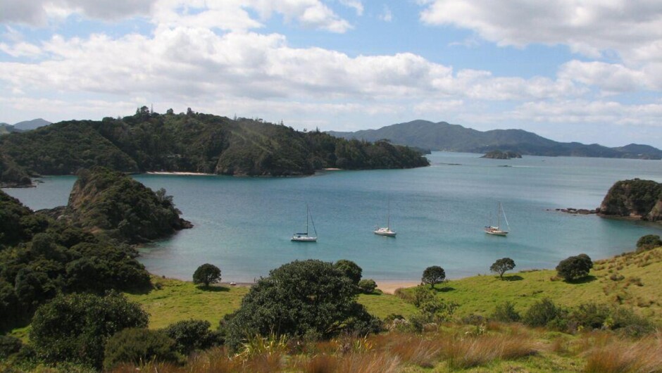 Army Bay, Bay of Islands