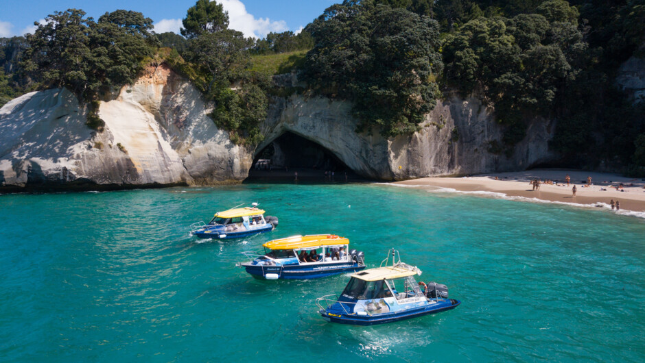 Glass Bottom Boat fleet at Cathedral Cove