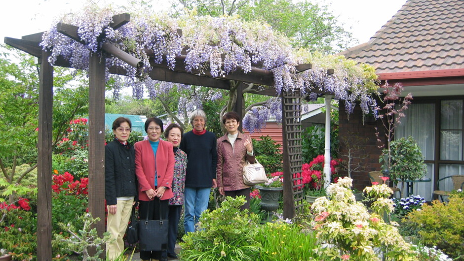 Wonderful Wisteria