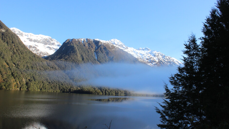 On our way to Milford Sound