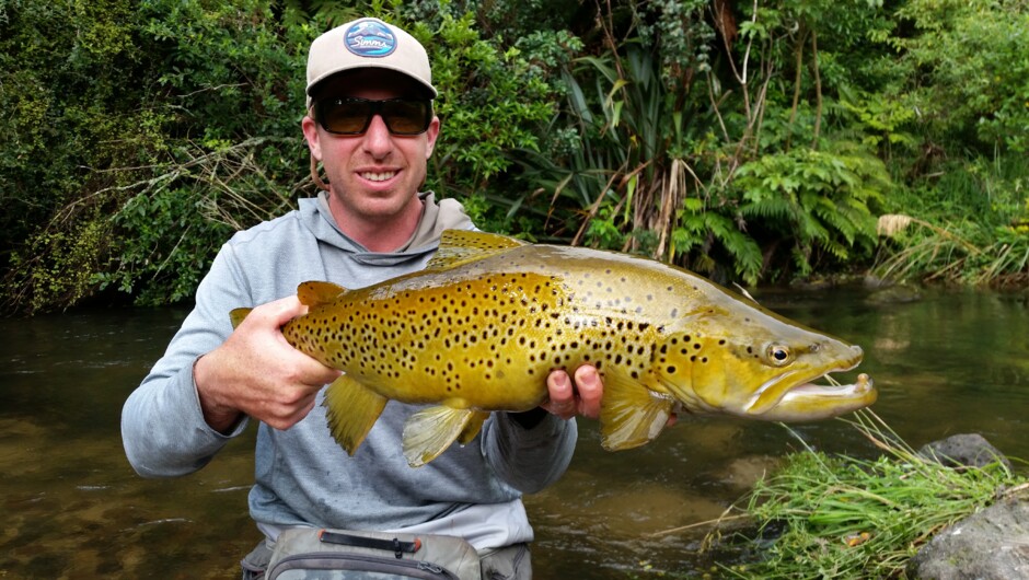 Trophy Rotorua Brown Trout