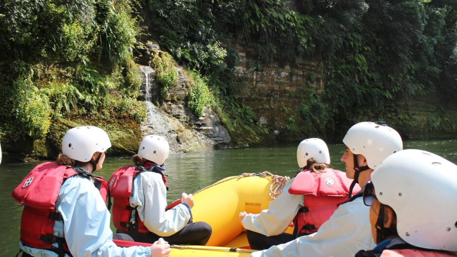 Beautiful scenic float