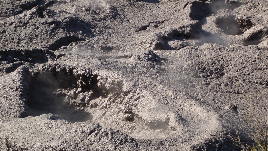 Rotorua boiling mud pools