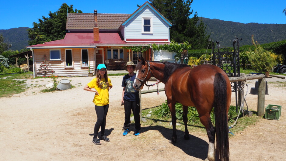 Horse Farm, Camping and Horse Riding Hack'n Stay Golden Bay, Abel Tasman New Zealand