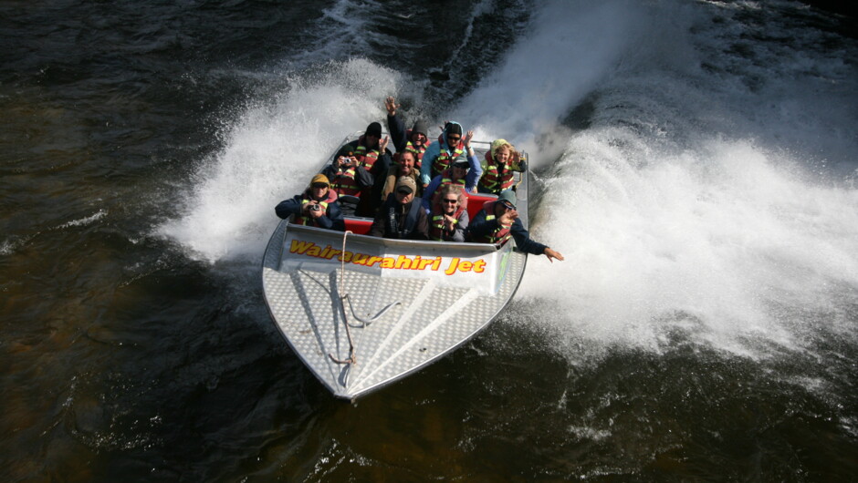 Passing under the South Coast track swing bridge over the wild Wairaurahiri River