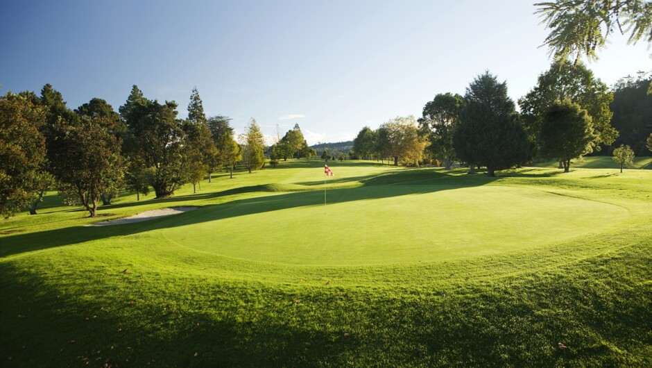 Redwood Park Golf Club #15 hole