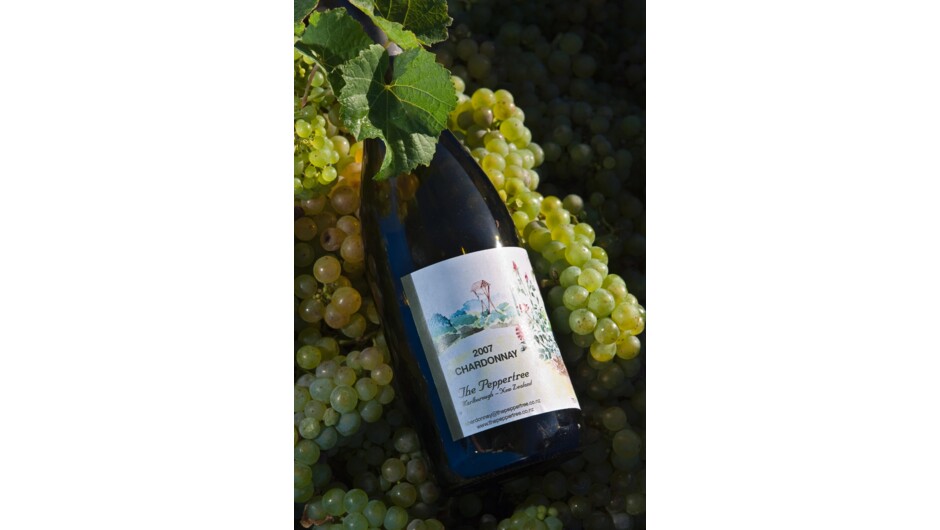 Harvest The Peppertree Chardonnay