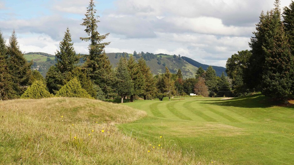 Mount Ngongotaha from hole 9