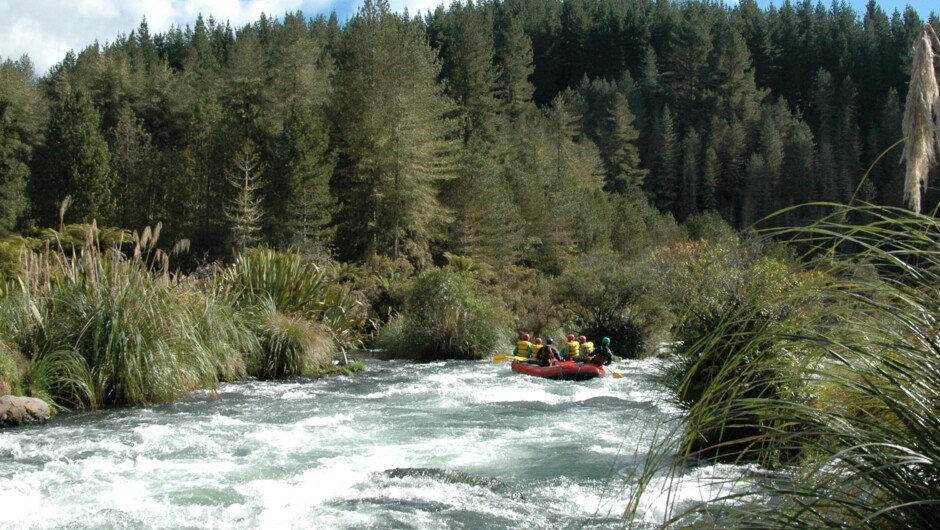 The Rangitaiki River Grade 3/4