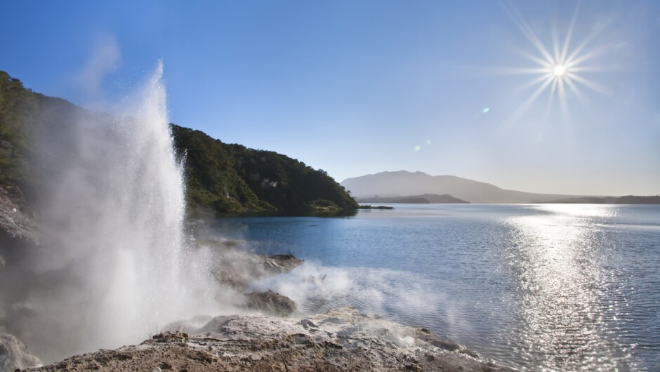 Geyser at Pink Bay, Lake Rotomahana.