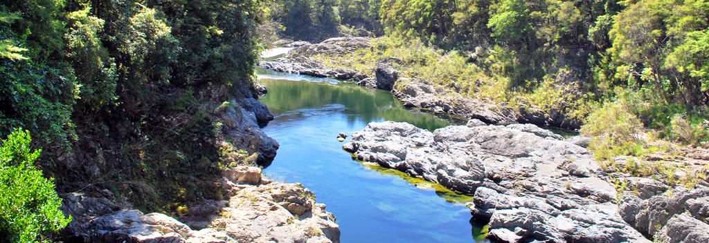 Pelorus River