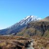 The Start of the Tongariro Alpine Crossing, Let Adventure Lodge take care of you