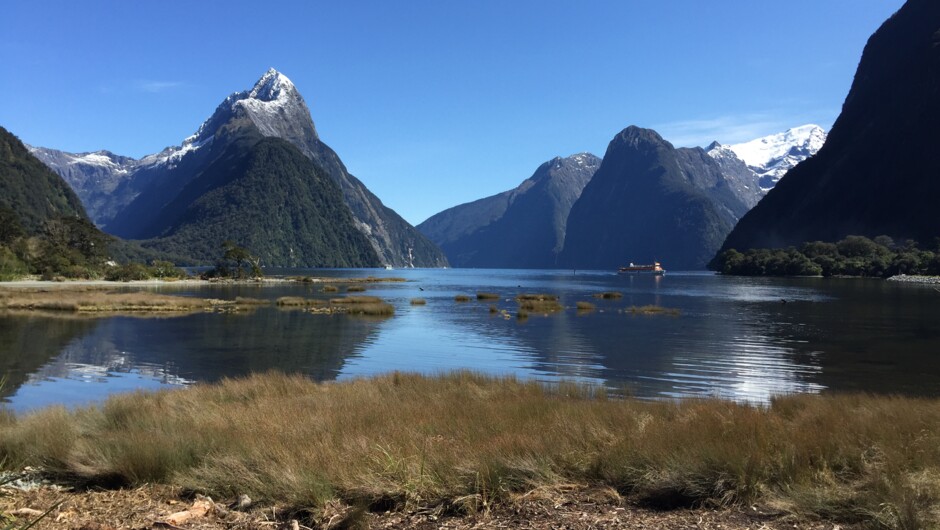 See the beautiful Milford Sound without needing to drive into this very remote area.
