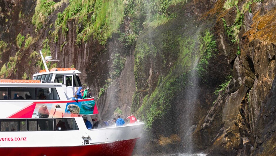 Discover More Cruise under Fairy falls