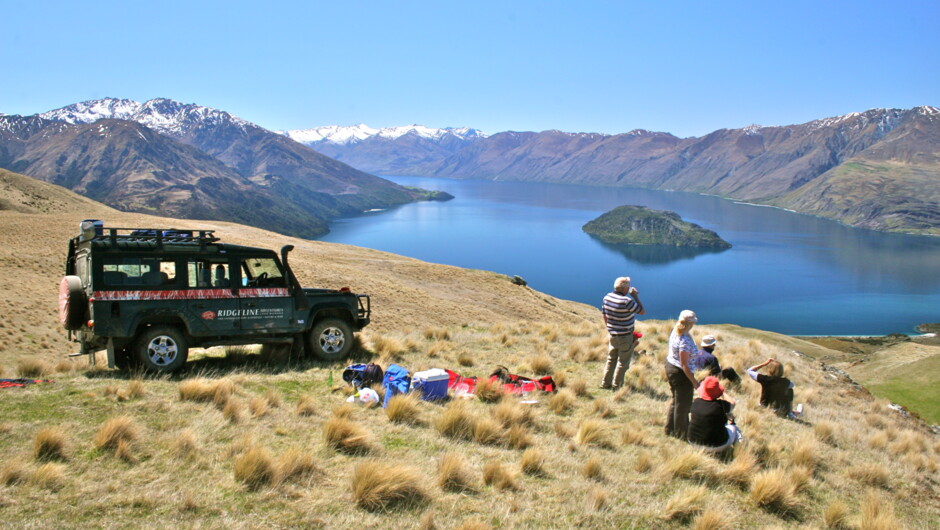 This is the highest point we drive to  on our Wild Hills Safari  at just over 700m above Lake Wanaka - the perfect place to experience pure nature!!