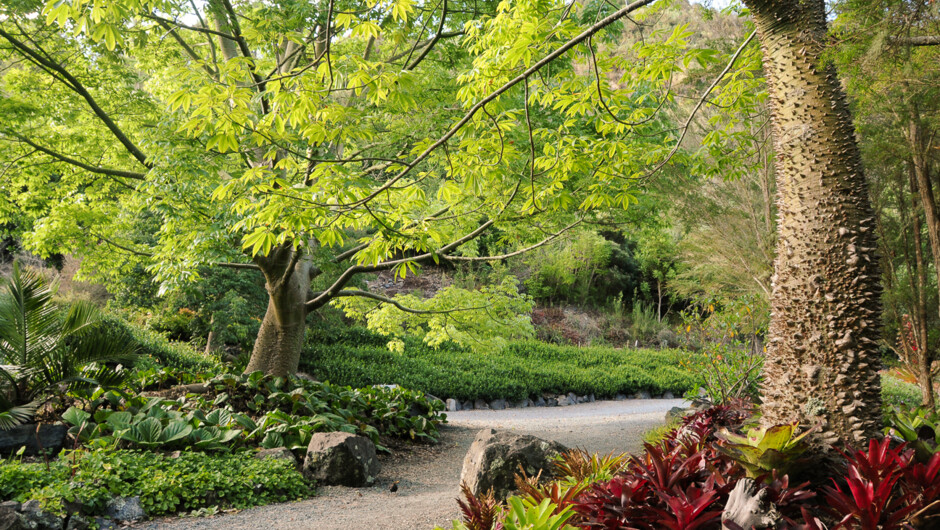 A peaceful walk through stunning Gardens